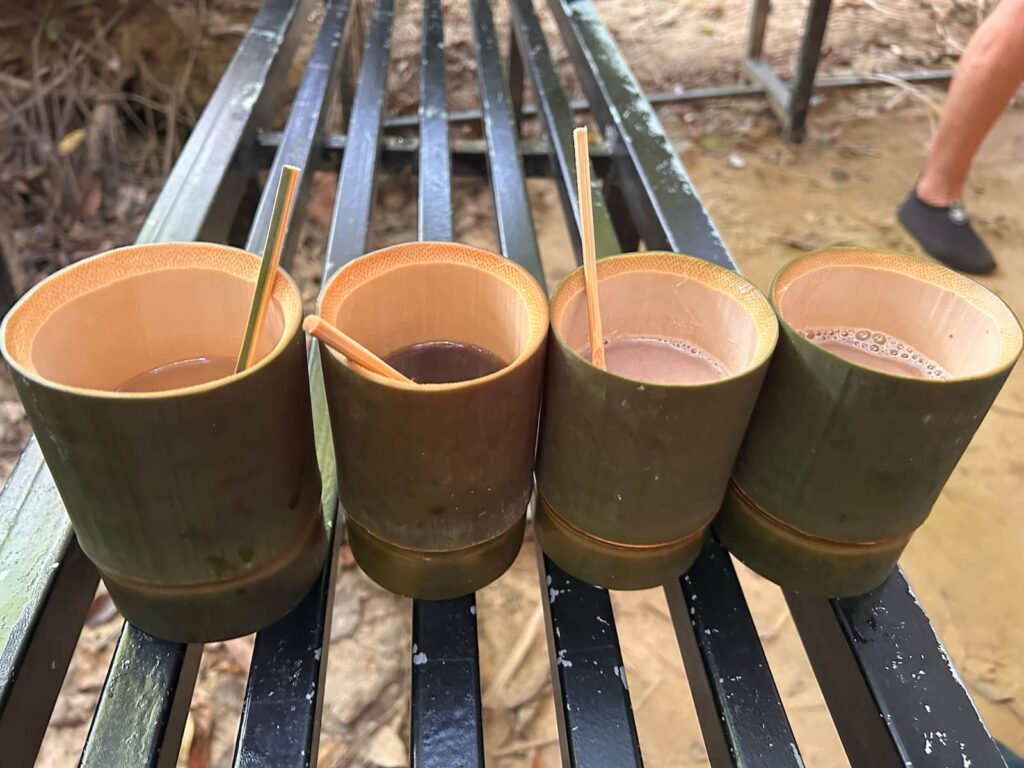 kawa w bambusie