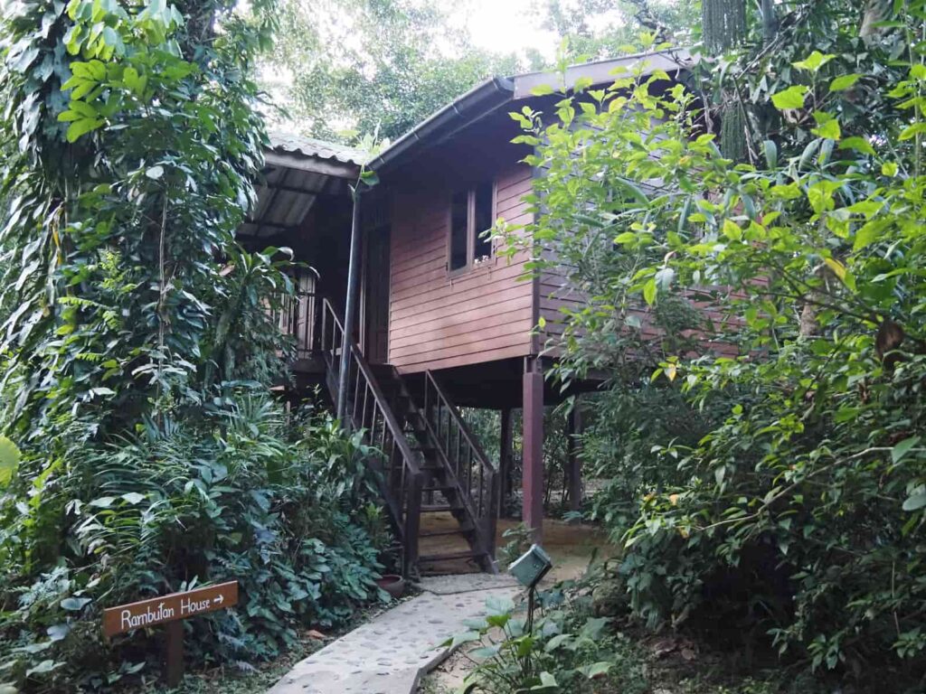domek na drzewie w Khao Sok